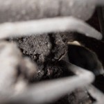 NSF_Inner_Wing_close