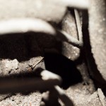 NSF_Inner_Wing_focus